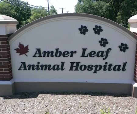 Amber Leaf Animal Hospital