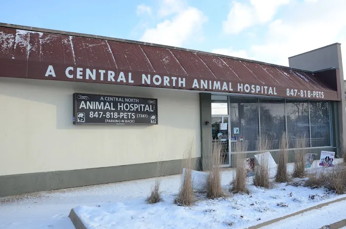 A Central North Animal Hospital Picture 1