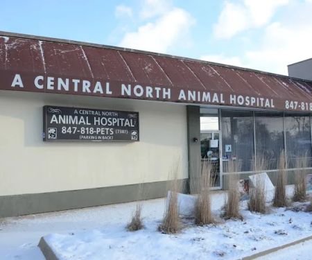 A Central North Animal Hospital