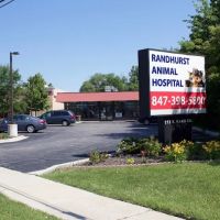 Randhurst Animal Hospital ico