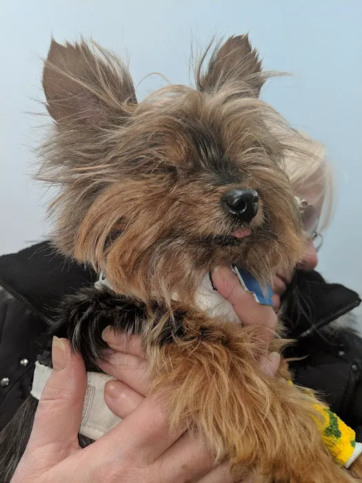 Randhurst Animal Hospital Picture 8