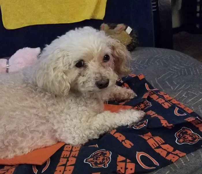 Banfield Pet Hospital Picture 1