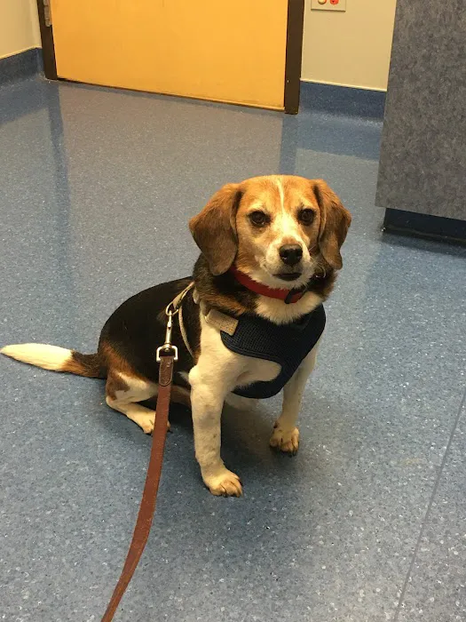 March Animal Hospital Picture 2