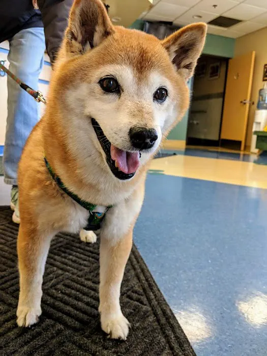 March Animal Hospital Picture 5