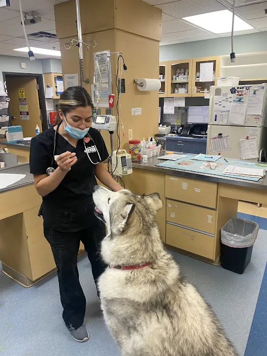 March Animal Hospital Picture 6
