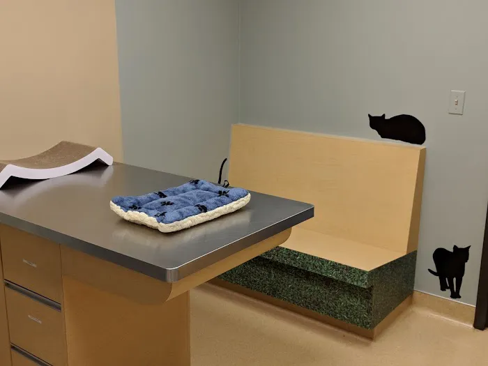 March Animal Hospital Picture 4