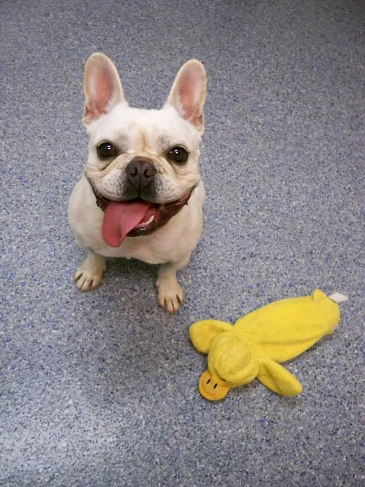 March Animal Hospital Picture 9