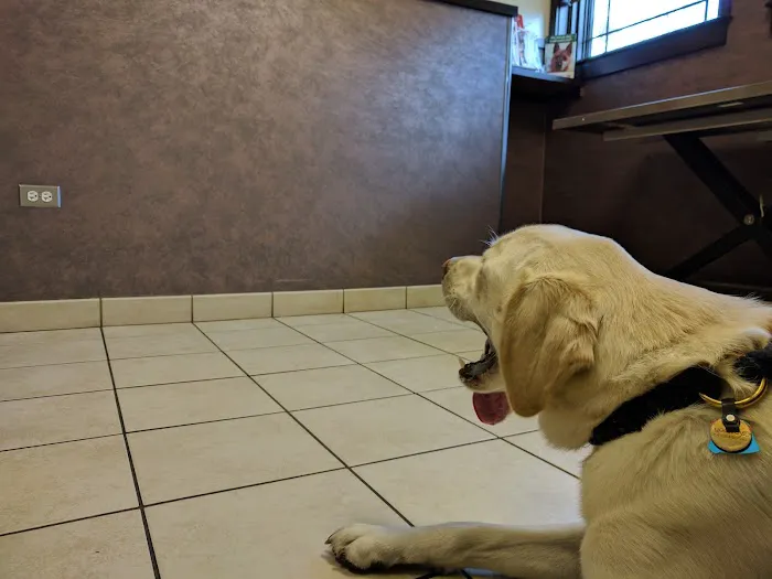 Glenview Animal Hospital Picture 6