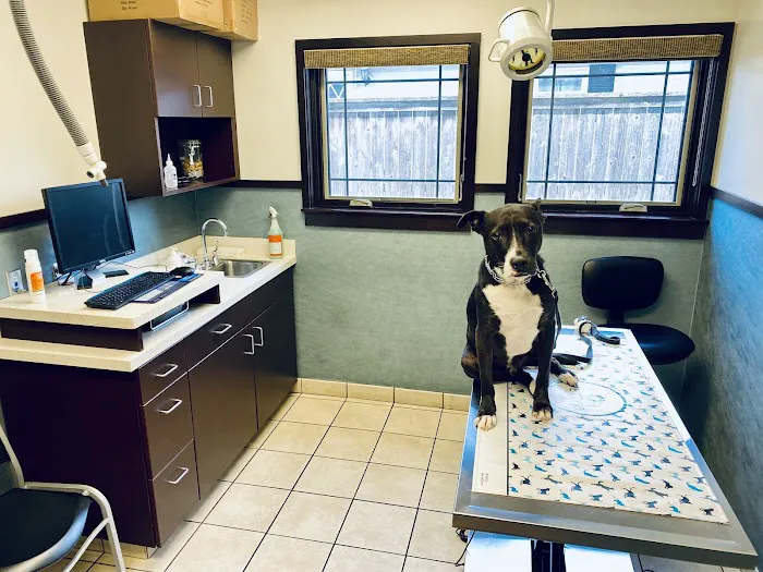 Glenview Animal Hospital Picture 9