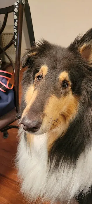 Glenview Animal Hospital Picture 10