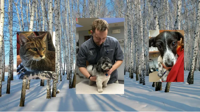 Becker Animal Hospital Picture 4