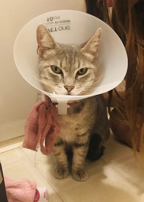 Becker Animal Hospital Picture 6