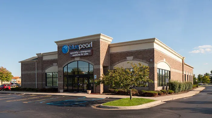BluePearl Pet Hospital Picture 3