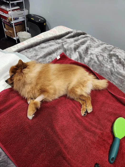 BluePearl Pet Hospital Picture 5