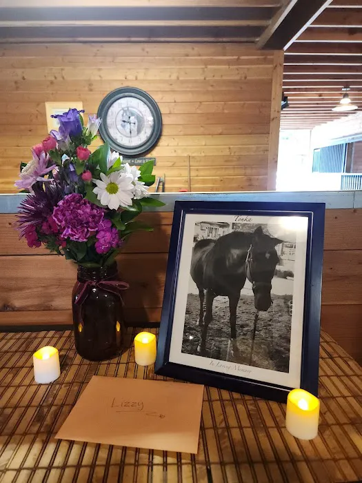 Equine Innovative Medicine Picture 4