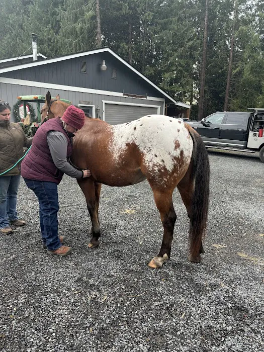 Equine Innovative Medicine Picture 3