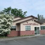 Alpine View Veterinary Hospital
