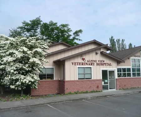 Alpine View Veterinary Hospital