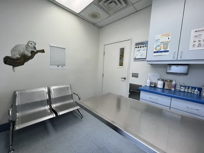 Paws N Claws Veterinary Hospital Picture 4