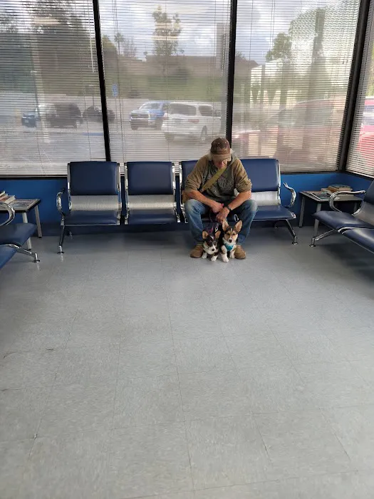 Paws N Claws Veterinary Hospital Picture 6