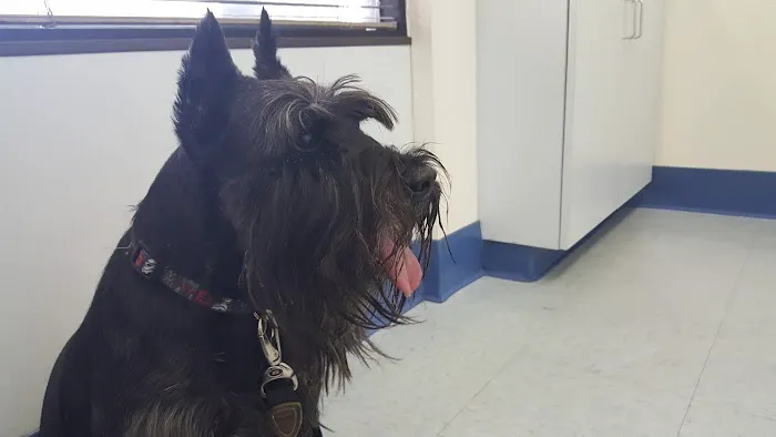 Paws N Claws Veterinary Hospital Picture 7