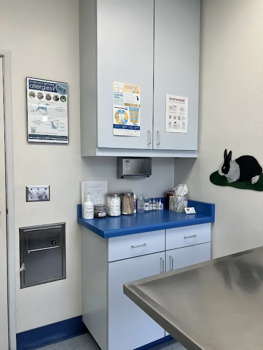 Paws N Claws Veterinary Hospital Picture 9