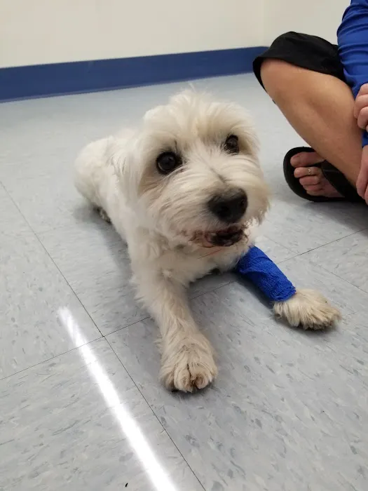 Paws N Claws Veterinary Hospital Picture 10