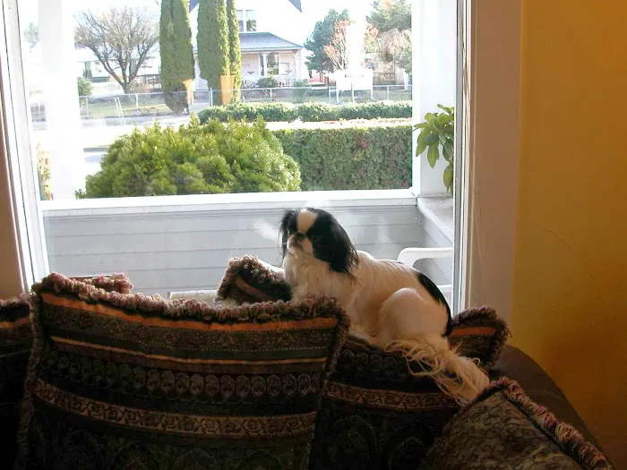 Harmony Animal Wellness Center Picture 6