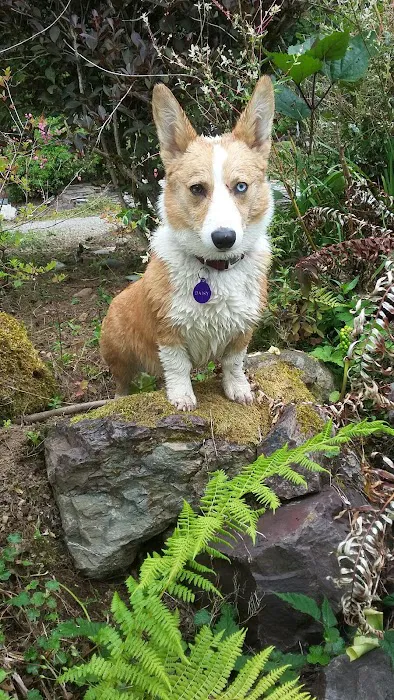 Cascade Animal Clinic Picture 7