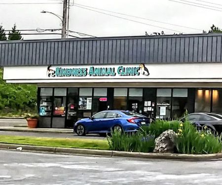 Kindness Animal Clinic
