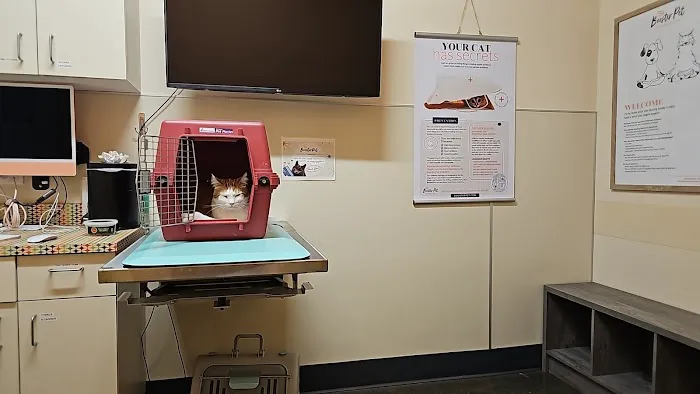 BoosterPet Veterinary Care & Urgent Care in Puyallup Picture 5