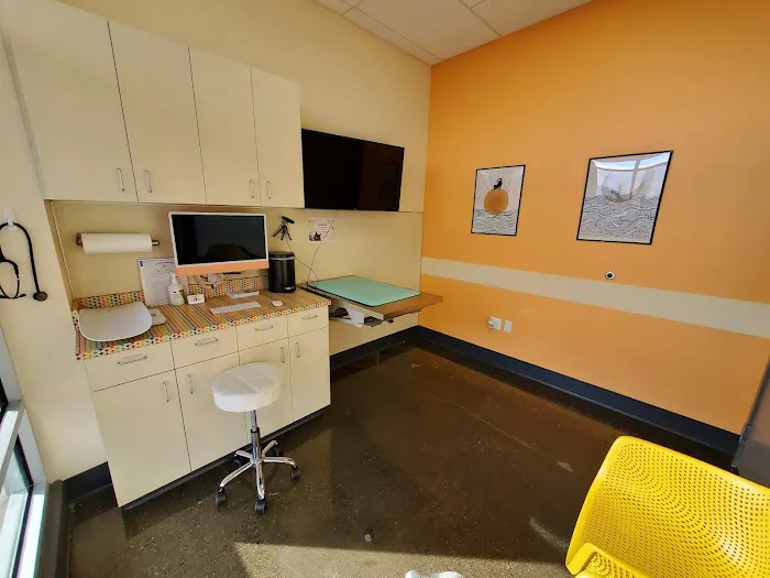 BoosterPet Veterinary Care & Urgent Care in Puyallup Picture 8