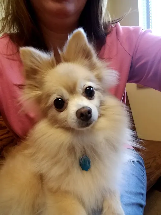 Canyon Road Veterinary Hospital Picture 3