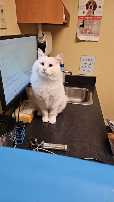 Canyon Road Veterinary Hospital Picture 7