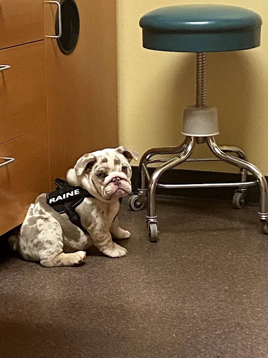 Canyon Road Veterinary Hospital Picture 9