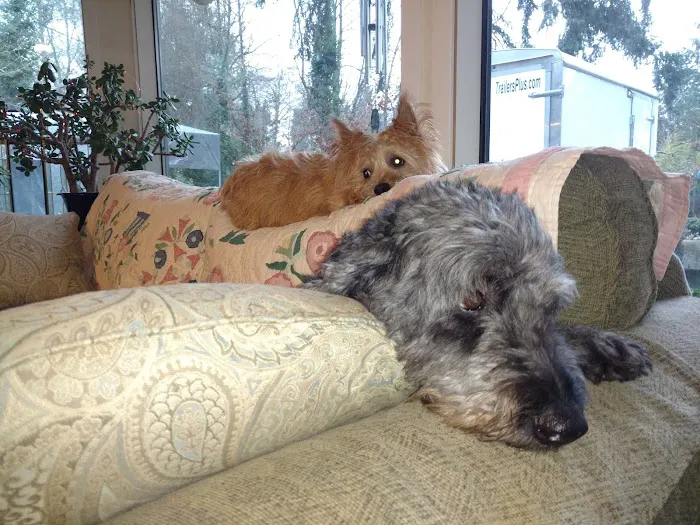 Canyon Road Veterinary Hospital Picture 10