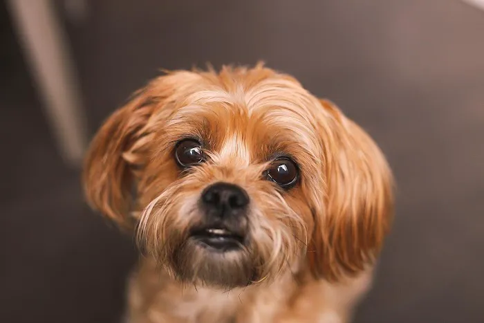 Harbor Animal Hospital Picture 5