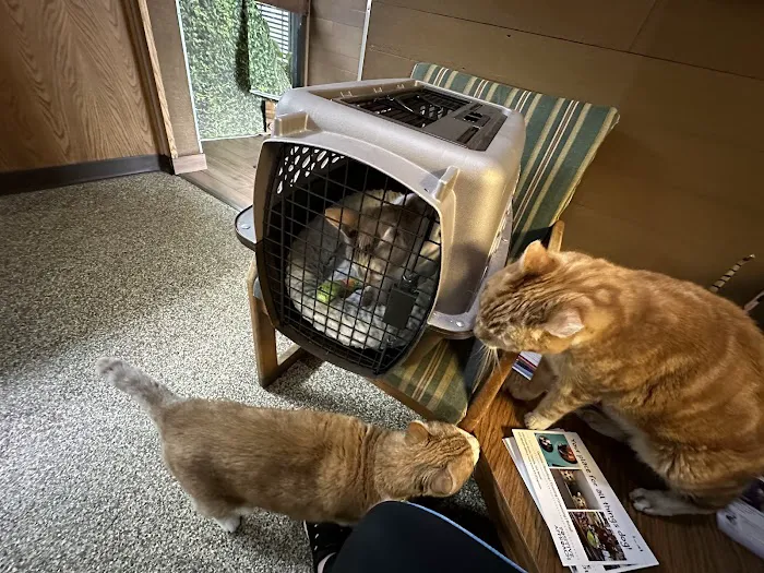 Clover Park Veterinary Hospital Picture 6