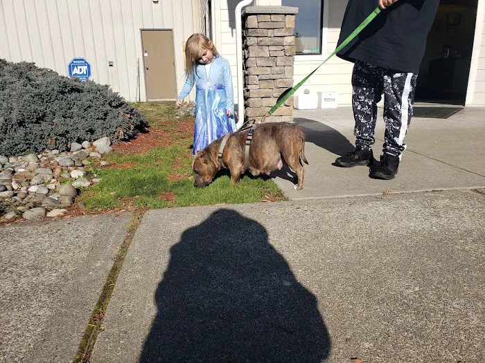 Tahoma Veterinary Hospital Picture 3
