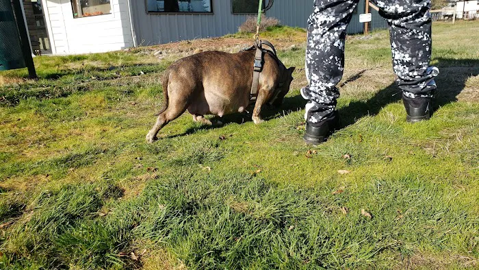 Tahoma Veterinary Hospital Picture 7