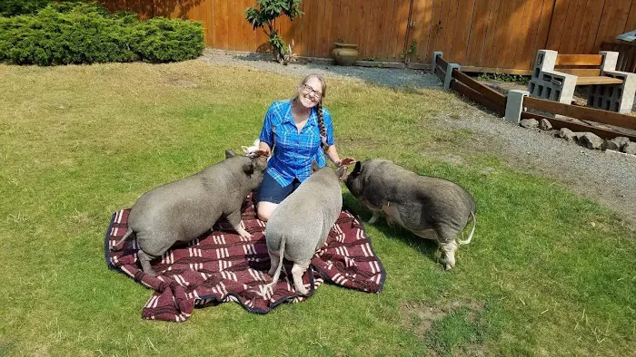Tahoma Veterinary Hospital Picture 9