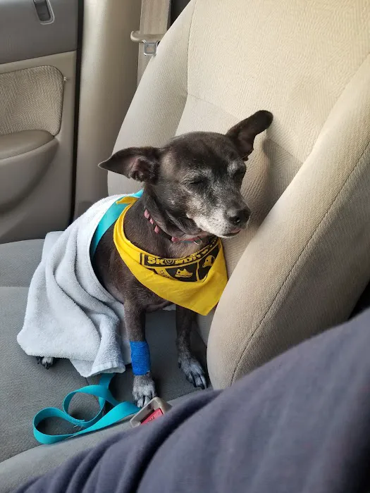 Banfield Pet Hospital Picture 8