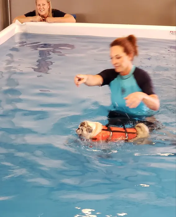 Animal Wellness Center of OC Picture 7