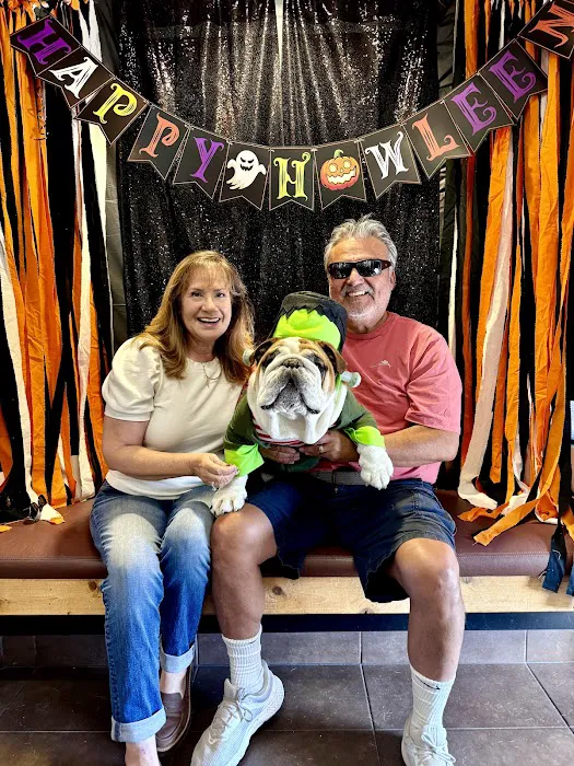 Newport Harbor Animal Hospital Picture 4