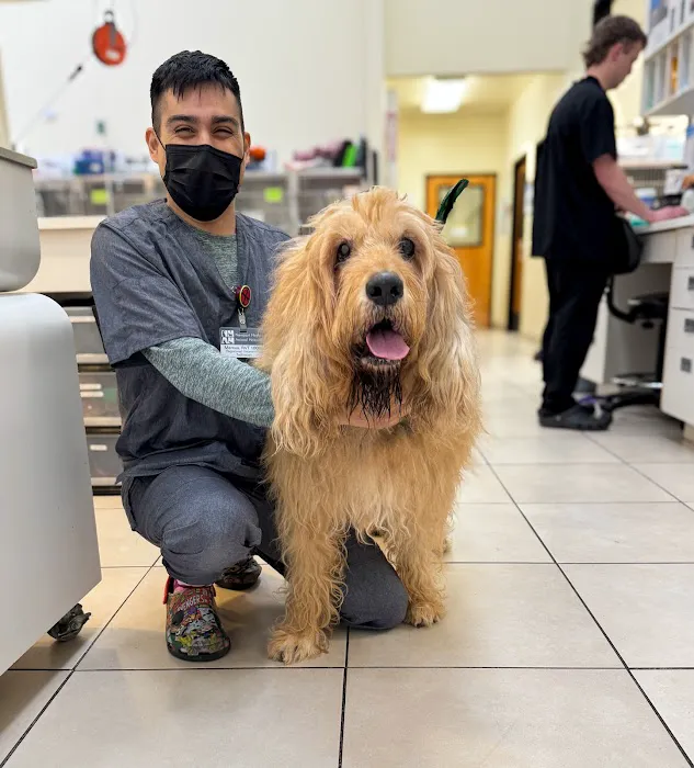 Newport Harbor Animal Hospital Picture 3