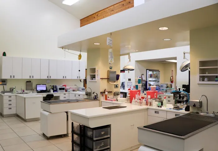 Newport Harbor Animal Hospital Picture 6