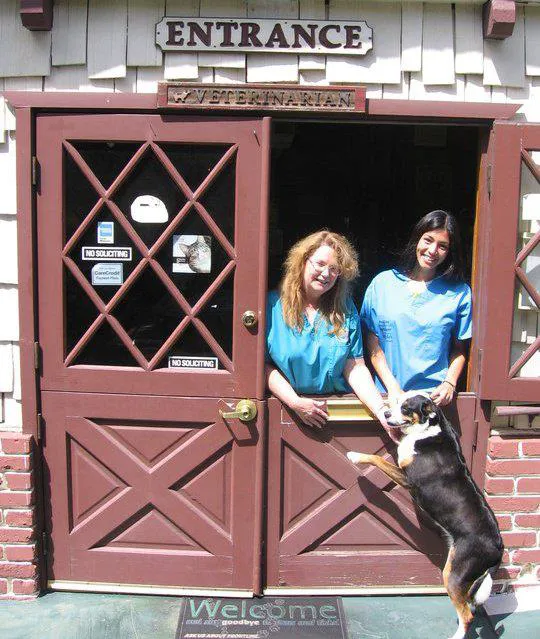 All Creatures Care Cottage Picture 9