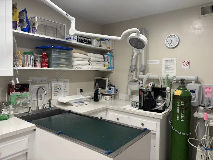Mesa West Pet Hospital Picture 1