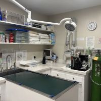Mesa West Pet Hospital ico