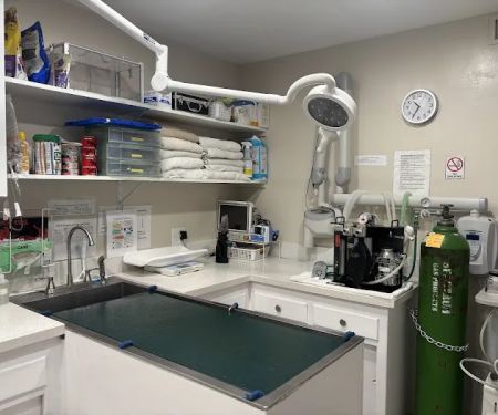 Mesa West Pet Hospital